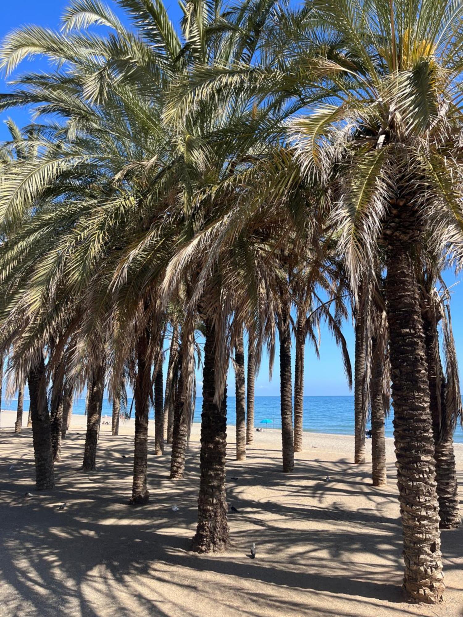 Apartamento Azul Torremolinos Exteriér fotografie